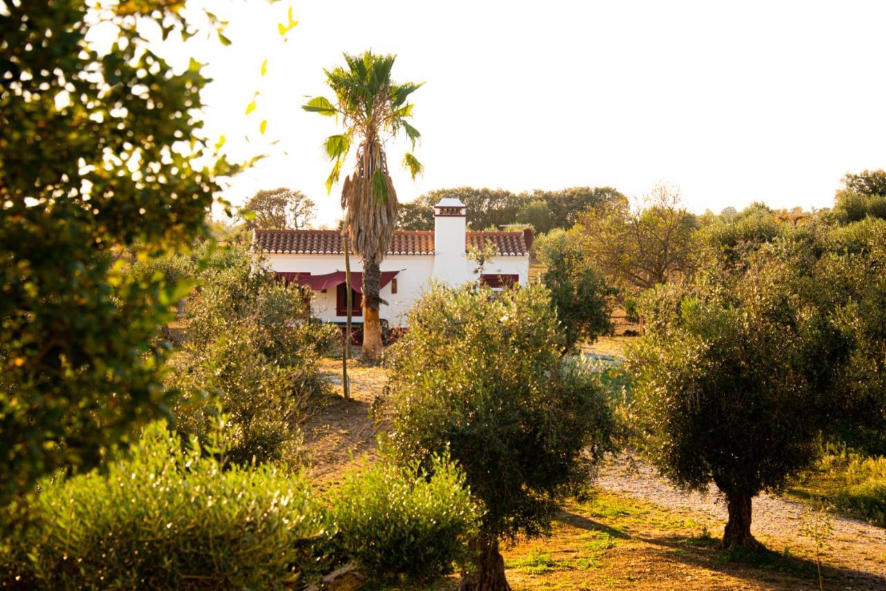 Monte Da Coelha Al Ξενοδοχείο Redondo Εξωτερικό φωτογραφία
