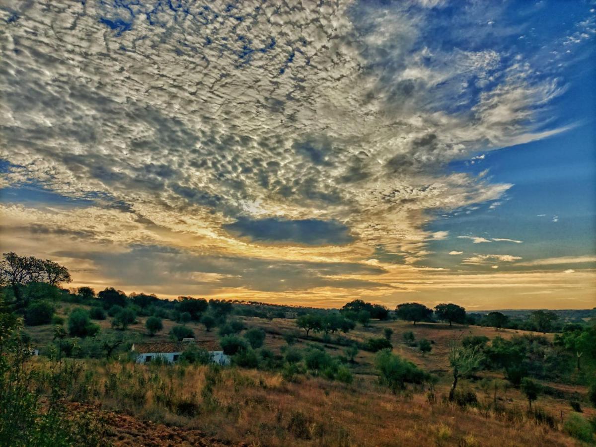 Monte Da Coelha Al Ξενοδοχείο Redondo Εξωτερικό φωτογραφία